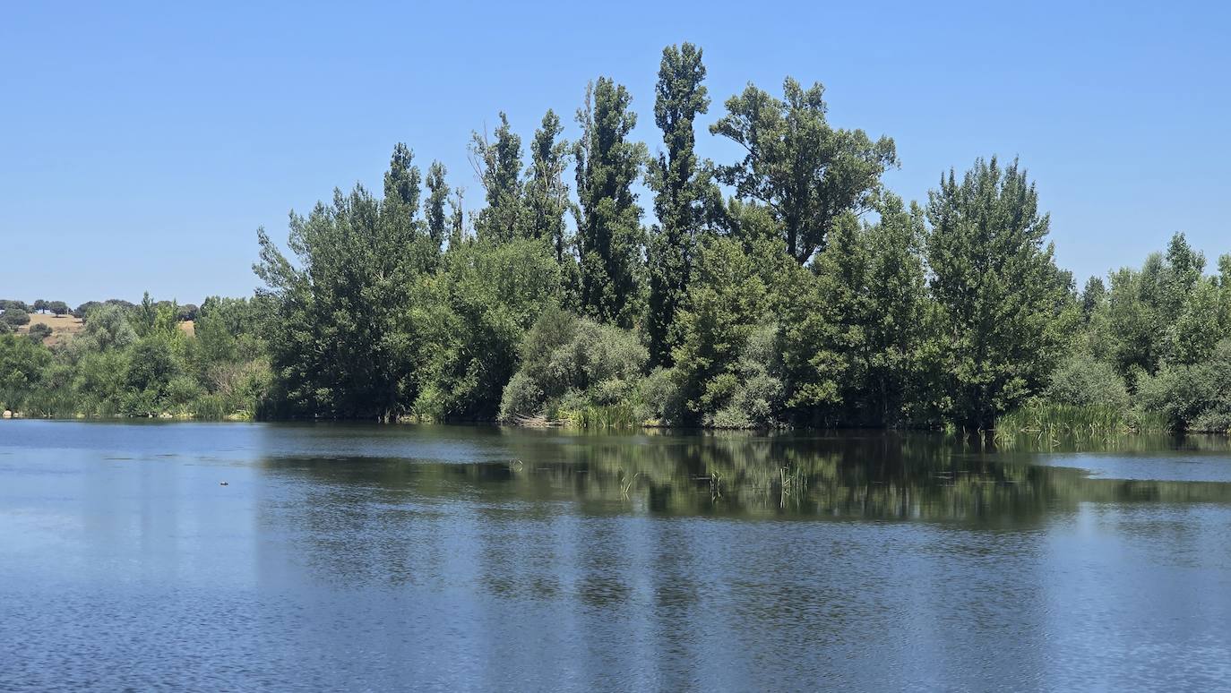 El Tormes, a su paso por la villa ledesmina.