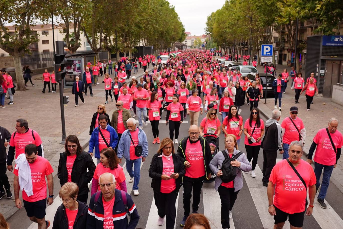 Salamanca &#039;se tiñe&#039; de rosa por el cáncer
