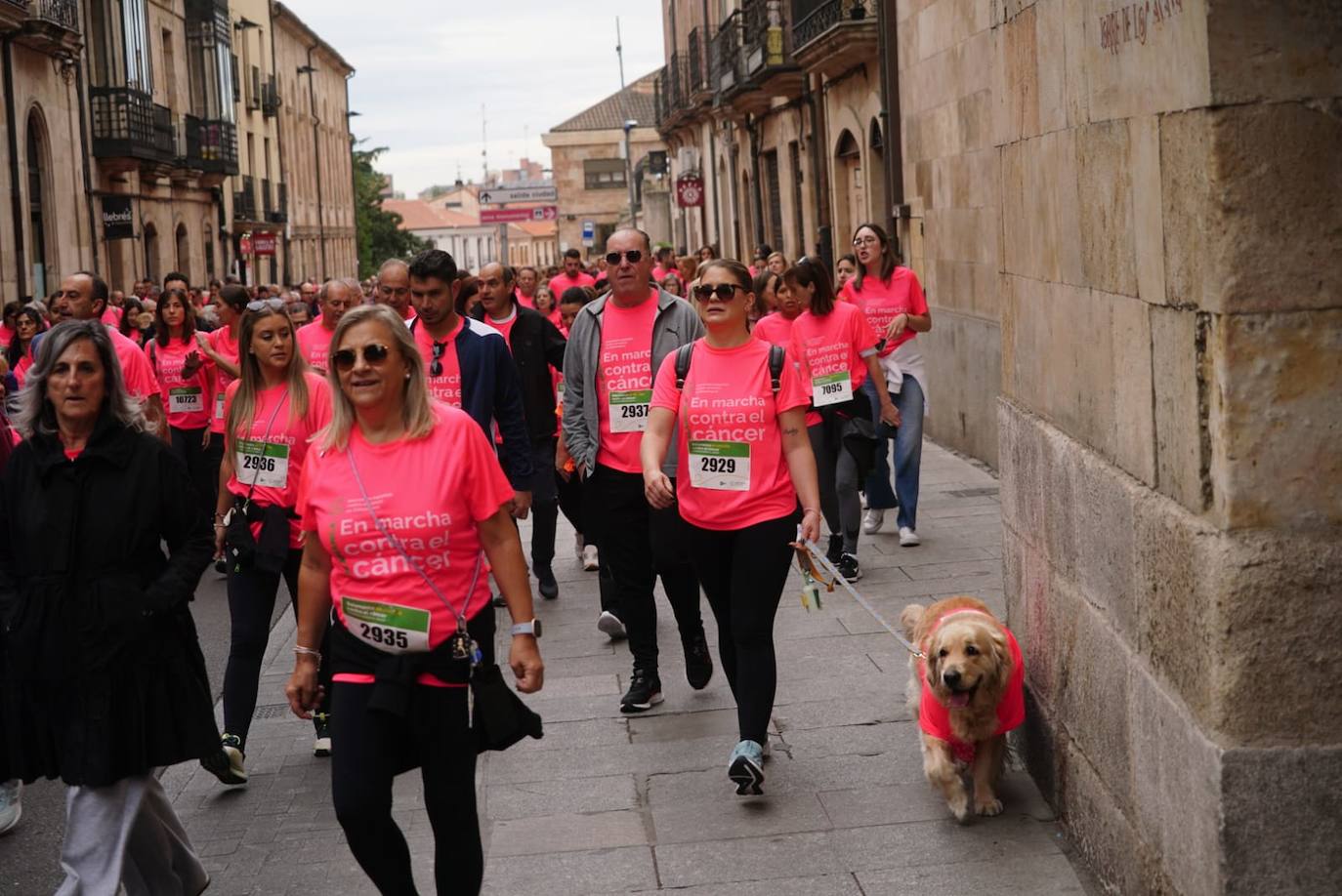 Salamanca &#039;se tiñe&#039; de rosa por el cáncer