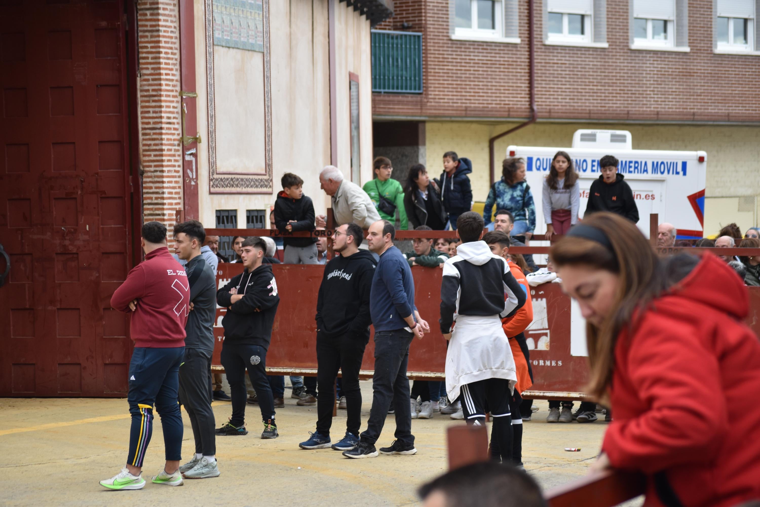 Pasión taurina que une generaciones con encierro de minibueyes y novillos en Alba de Tormes