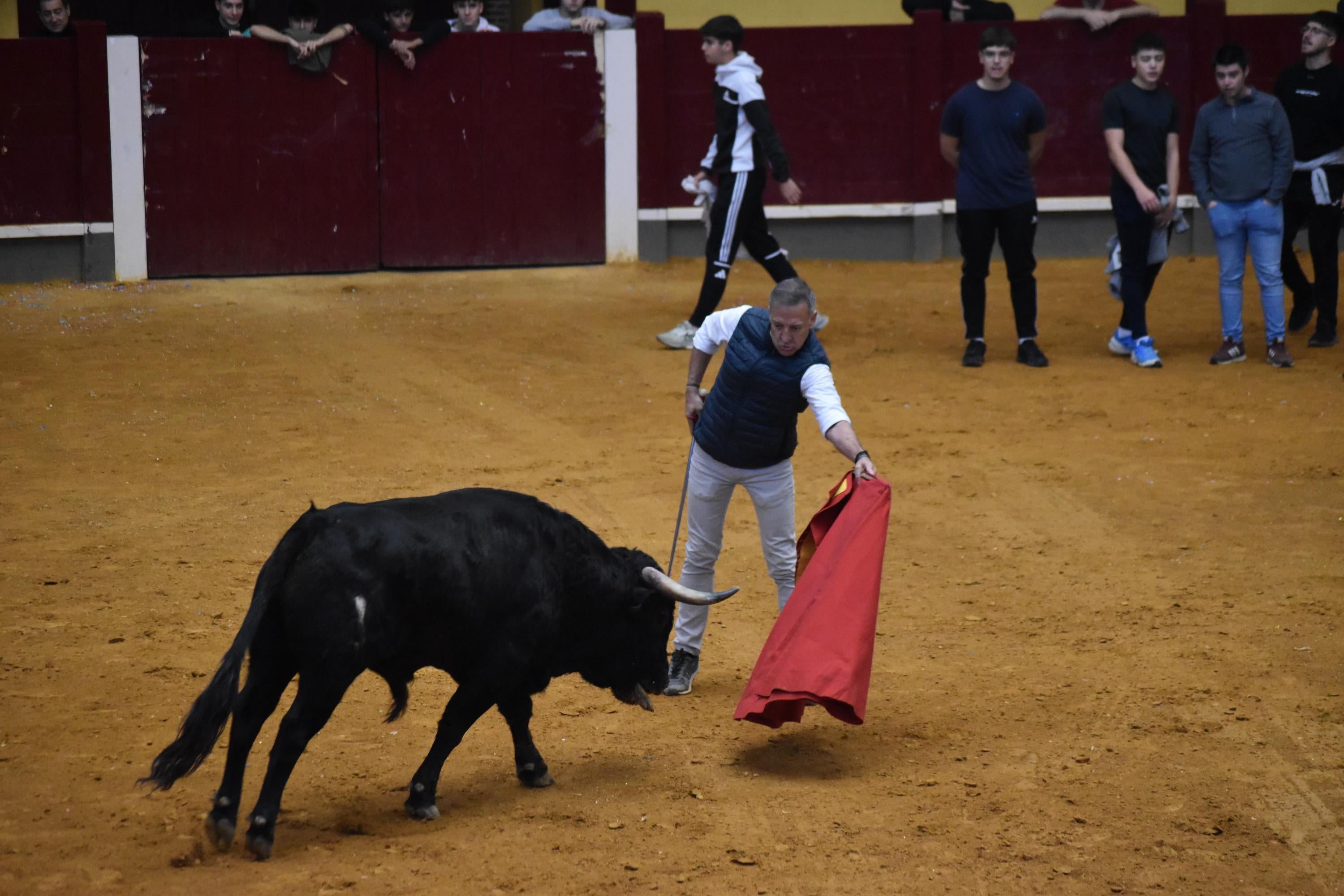 Pasión taurina que une generaciones con encierro de minibueyes y novillos en Alba de Tormes
