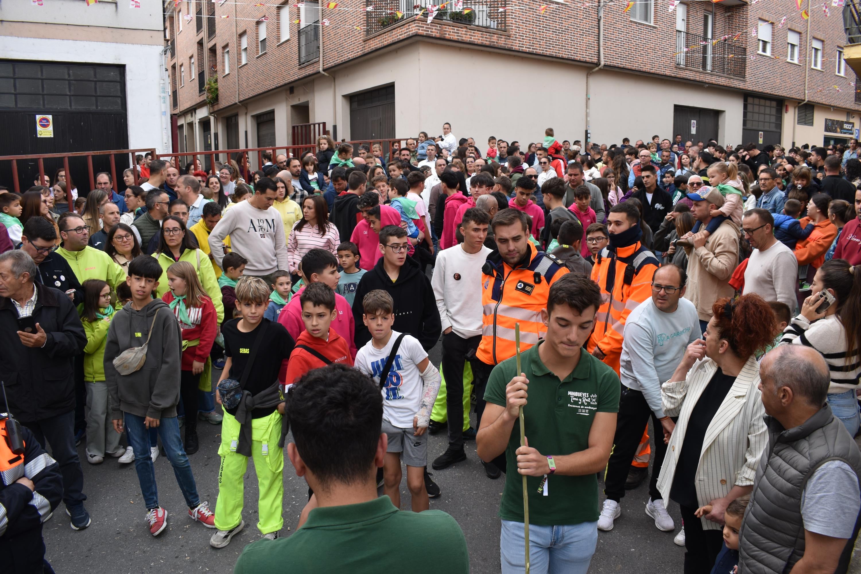Pasión taurina que une generaciones con encierro de minibueyes y novillos en Alba de Tormes