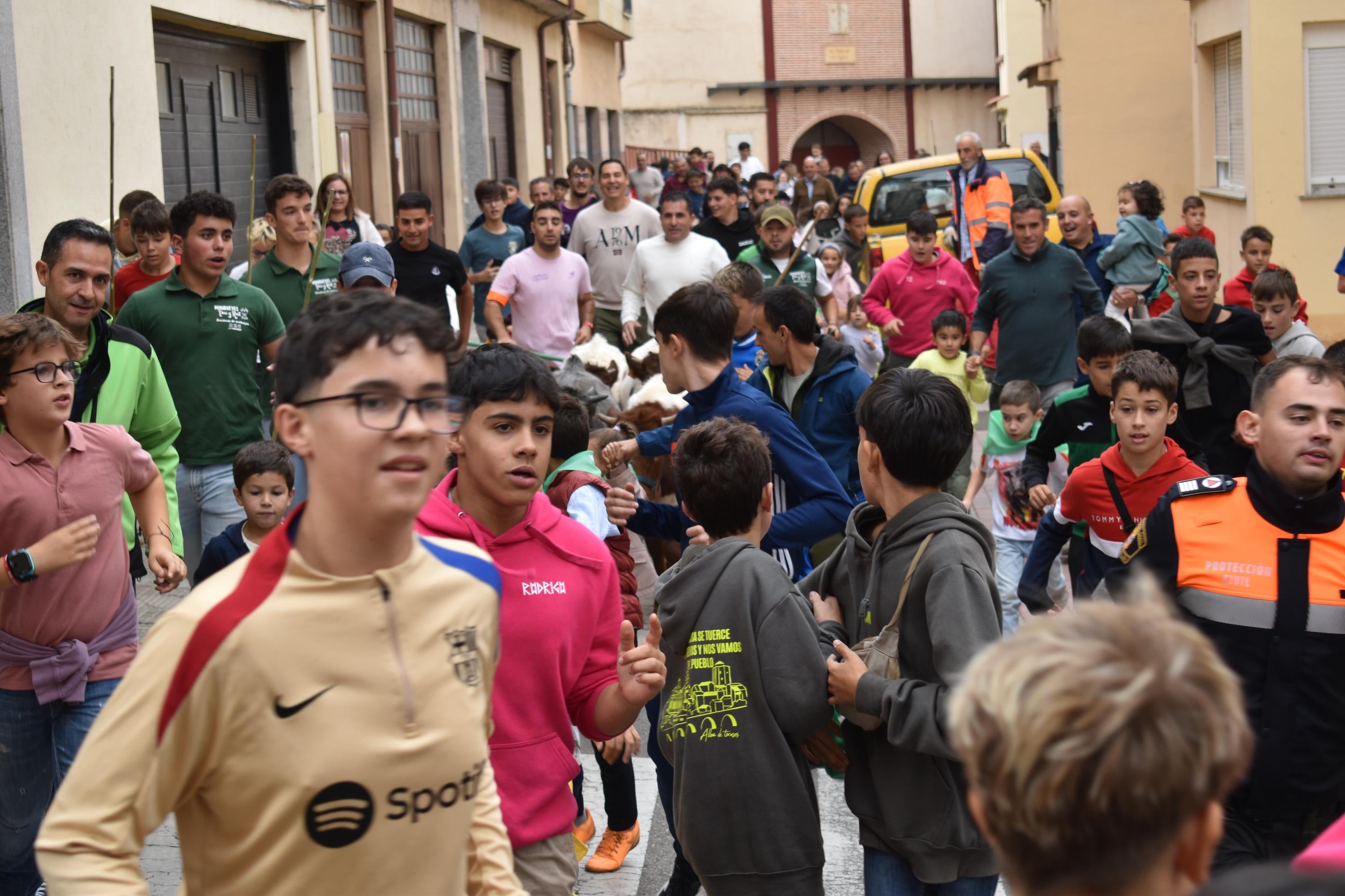 Pasión taurina que une generaciones con encierro de minibueyes y novillos en Alba de Tormes