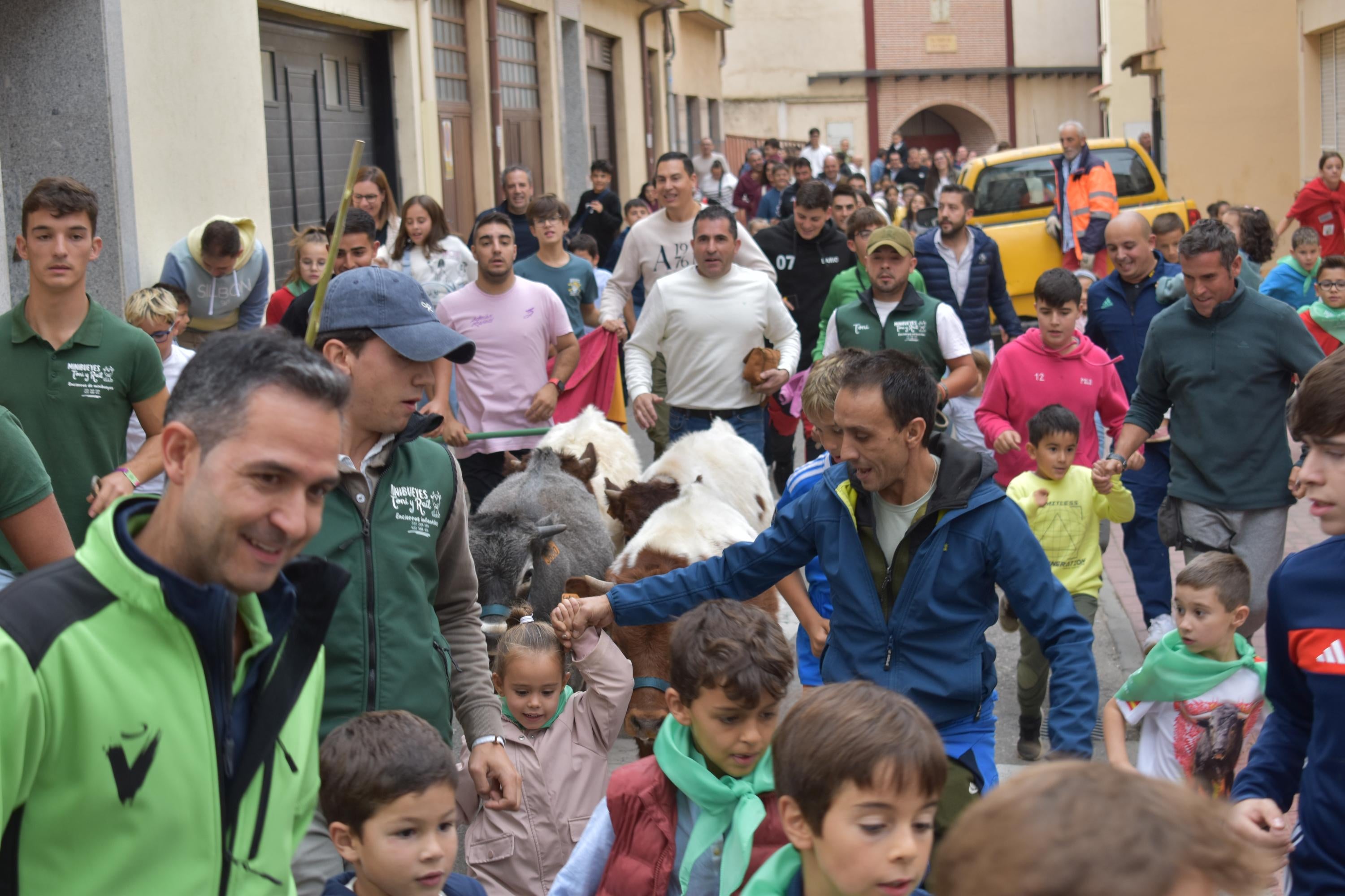 Pasión taurina que une generaciones con encierro de minibueyes y novillos en Alba de Tormes