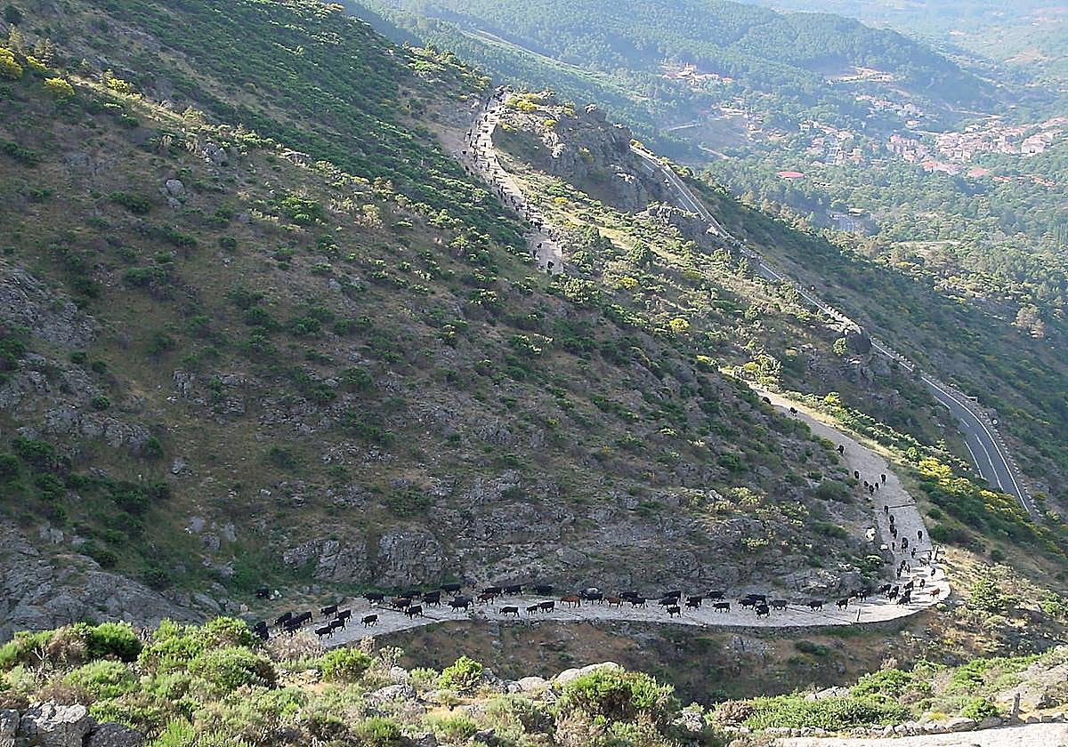 Imagen de Puerto del Pico, en Ávila.
