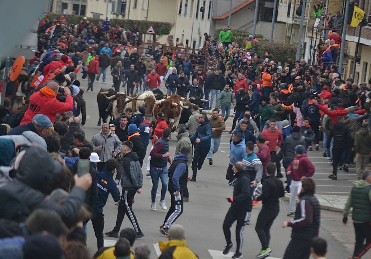 La avenida de Foxá congrega a multitud de público y corredores