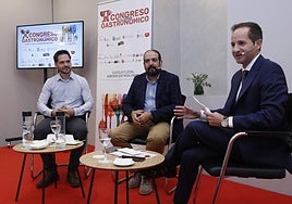 Diego Alonso Becerro, Manuel Fco. Sánchez y David Monaguillo.