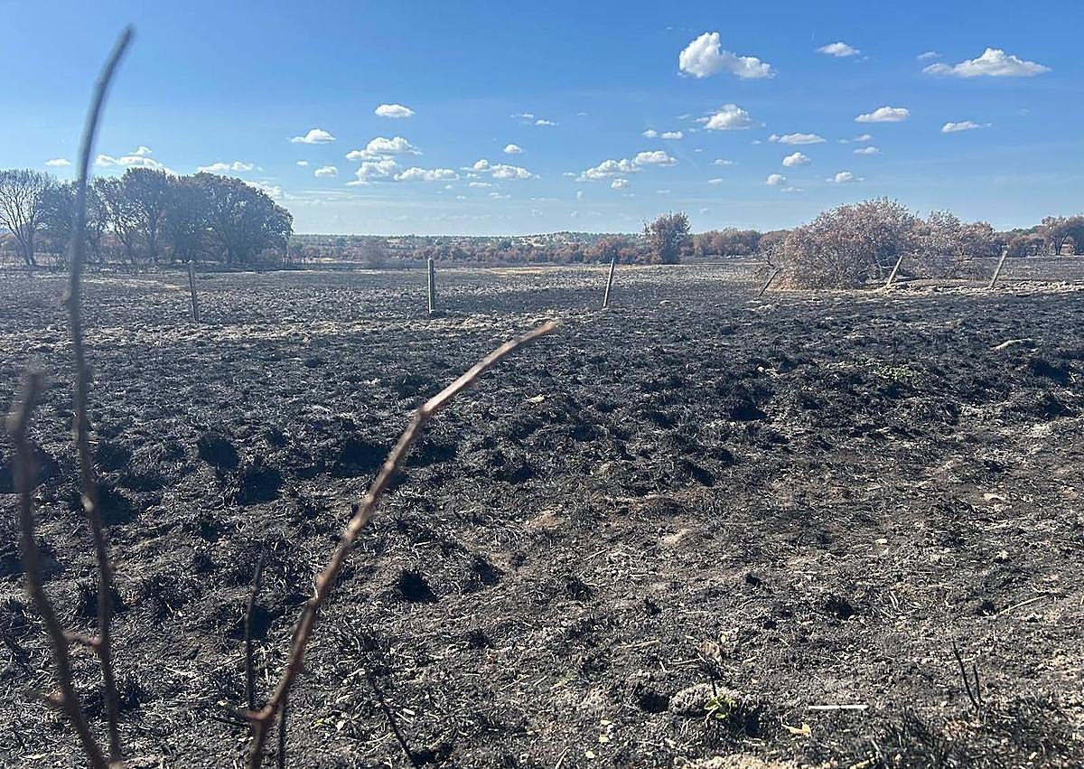Imagen secundaria 1 - Dos meses tras el incendio de Cipérez: «Todo sigue igual»