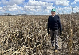 El agricultor Ángel Bonal.