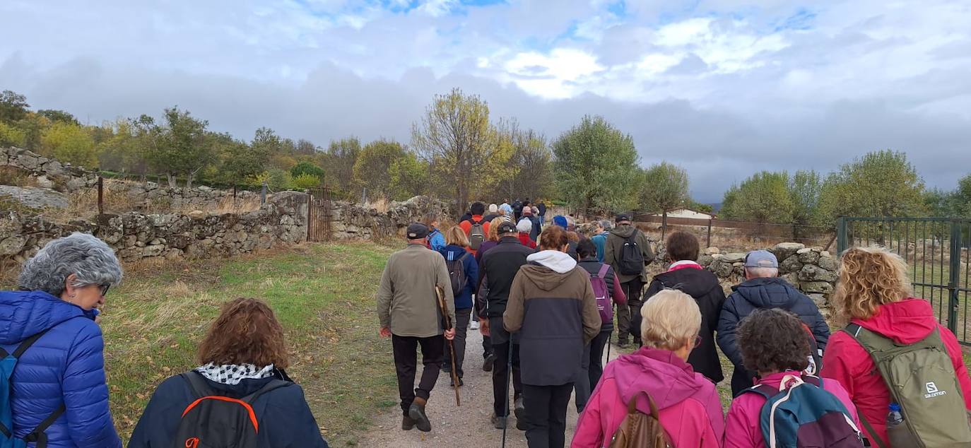 Pasos peregrinos en el Festival de la Candela