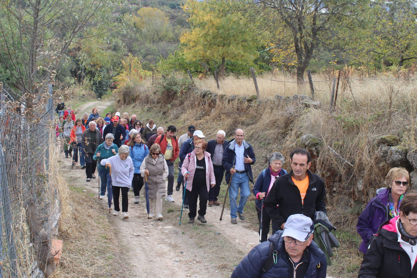 Pasos peregrinos en el Festival de la Candela