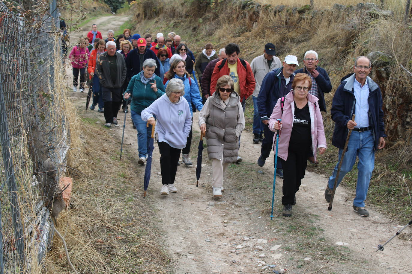 Pasos peregrinos en el Festival de la Candela