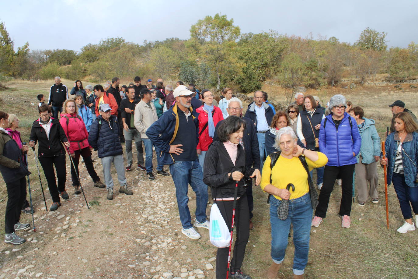 Pasos peregrinos en el Festival de la Candela