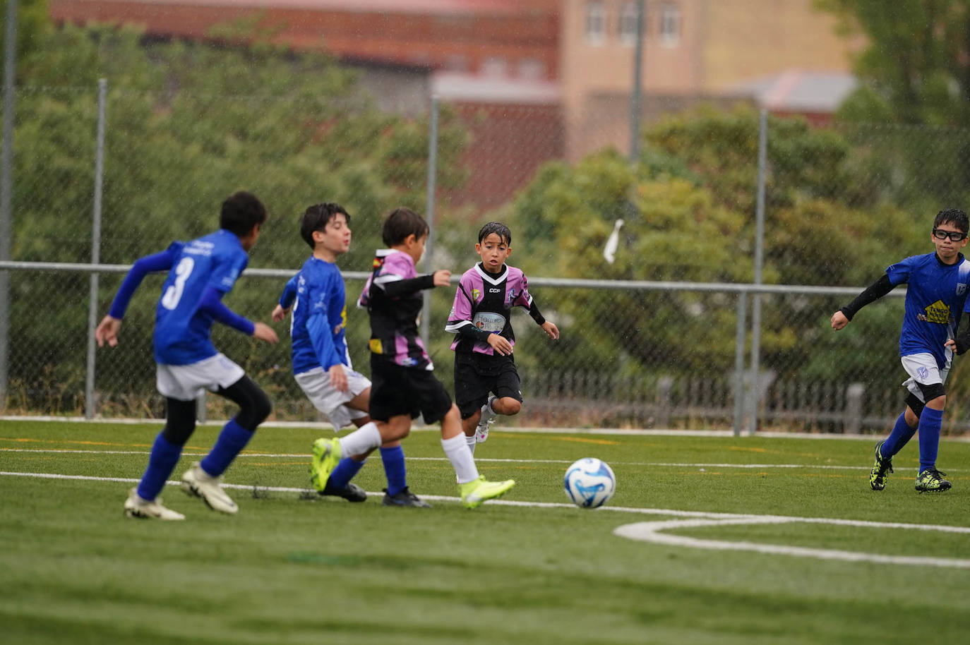 Todas las imágenes de la jornada del fútbol base en Salamanca
