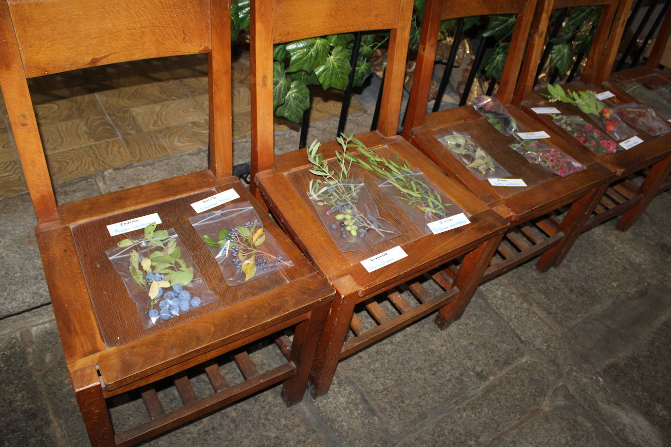 La Candela llena Navalmoral de Béjar