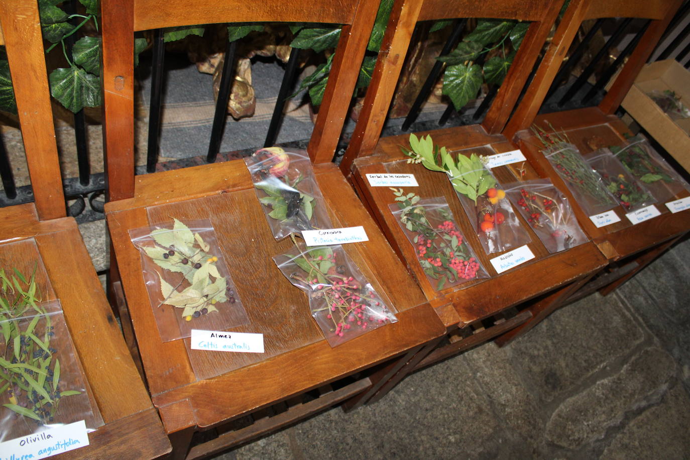 La Candela llena Navalmoral de Béjar