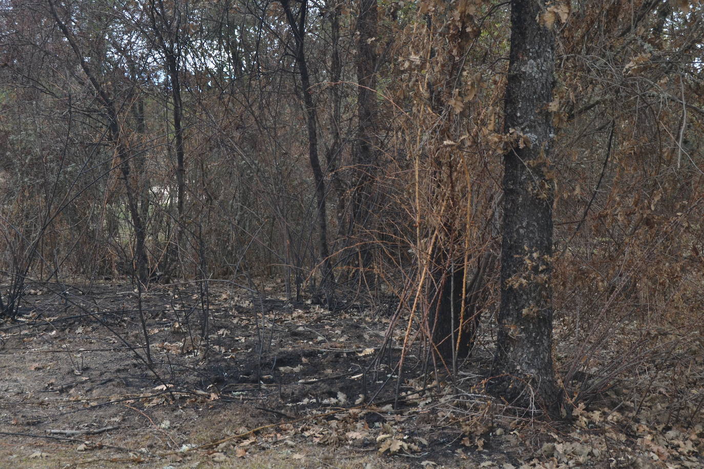 Los ganaderos de Cipérez piden “aprender de los errores”