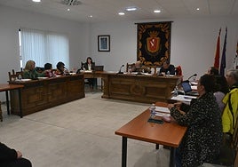 Momento de la sesión plenaria en Vitigudino.