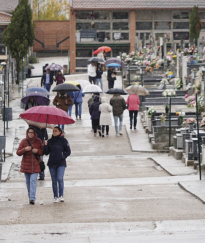 Imagen secundaria 2 - «Es la primera vez que hacen esto»