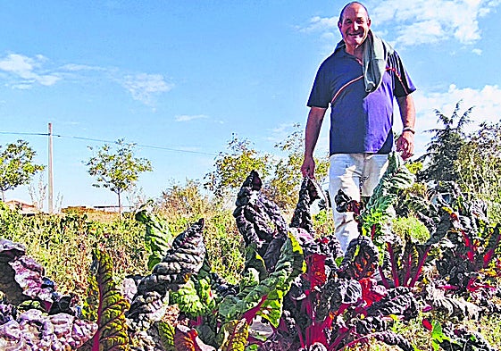 El agricultor José González Sierra camina por su huerto observando algunas de las pocas hortalizas que se conservan.