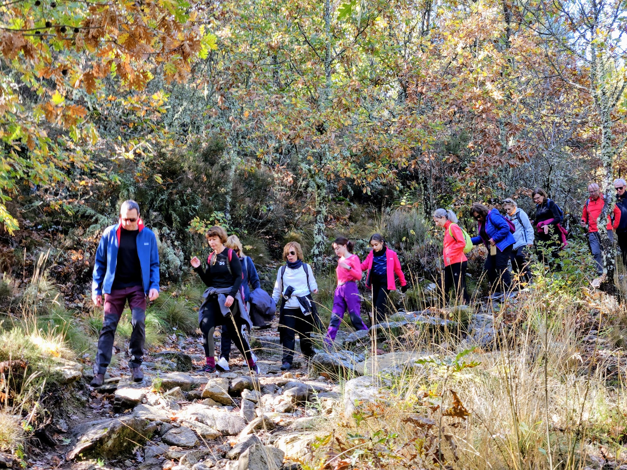 Un paseo por la belleza del otoño bejarano