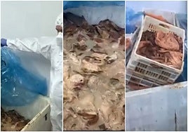 Muestra de la carne putrefacta incautada por la Guardia Civil en una nave de Bercimuelle.