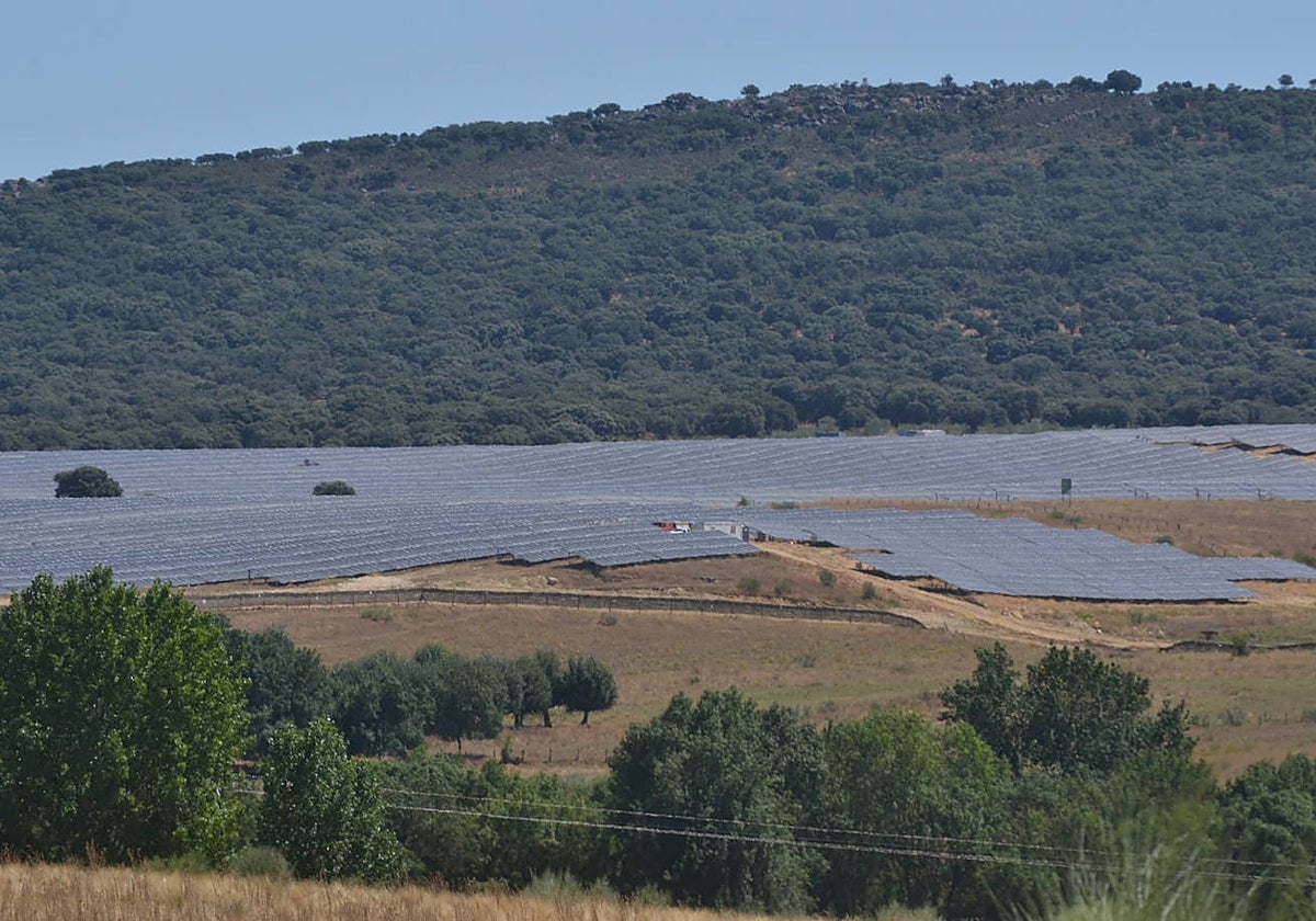Una de las plantas fotovoltaicas de Ciudad Rodrigo objeto de la actuación