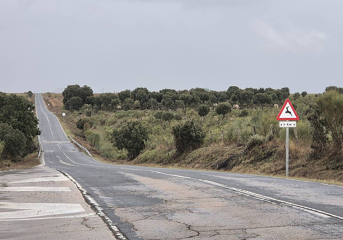 Tramo de la carretera que une Ciudad Rodrigo y Lumbrales