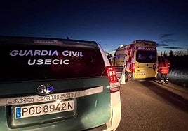 Una dotación de la Guardia Civil y personal sanitario del Sacyl.