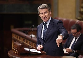 El presidente del Partido Popular, Alberto Núñez Feijóo.