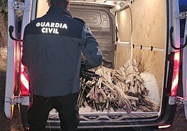 Un agente observa el material.