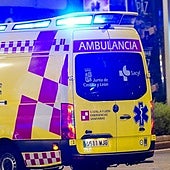 Un hombre herido tras ser atropellado en la avenida de los Cedros