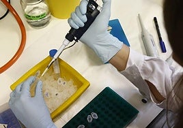 Una imagen de archivo del Centro de Investigación del Cáncer.