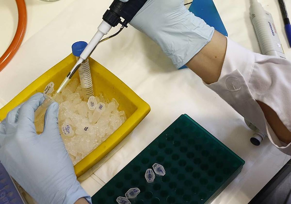 Una imagen de archivo del Centro de Investigación del Cáncer.