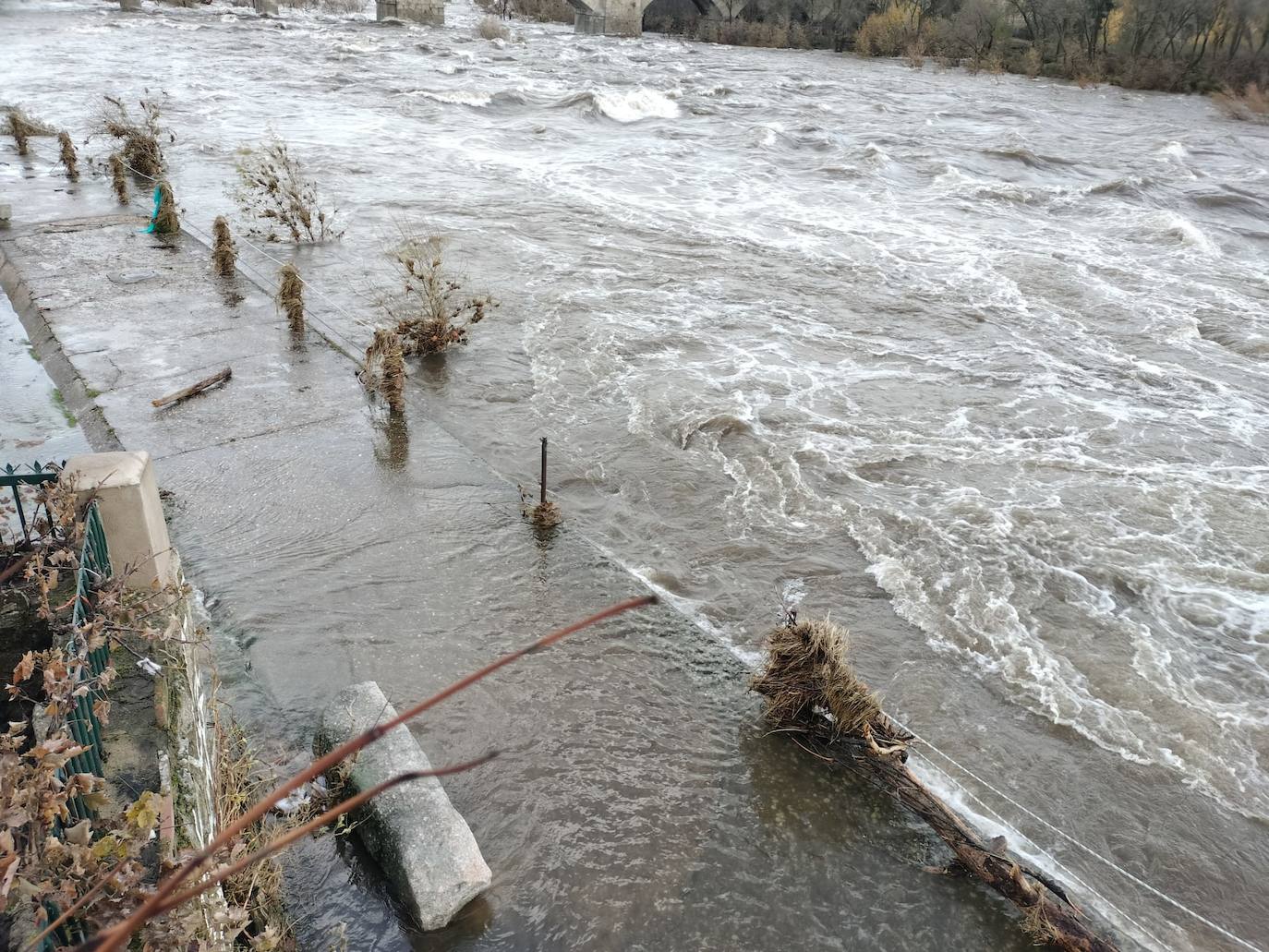 Crecida del Tormes por Puente del Congosto: un garaje inundado, muros derribados o farolas dobladas