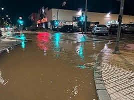 Imagen del Paseo de los Madroños inundado.