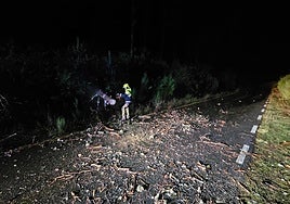 Un bombero de la Diputación de Salamanca, cortando el árbol que bloqueó la carretera entre Candelario y La Garganta este jueves a última hora por culpa del temporal.