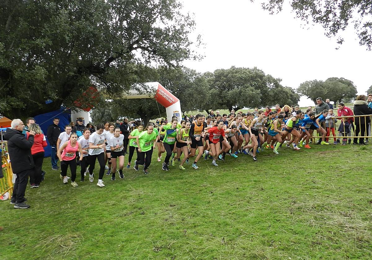 Fiesta del campo a través en Castro Enríquez: inicio de los Juegos Escolares y Carrera Popular Taurina