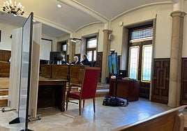 La declaración del acusado, R.B.M., por videoconferencia este lunes en la Audiencia Provincial de Salamanca.