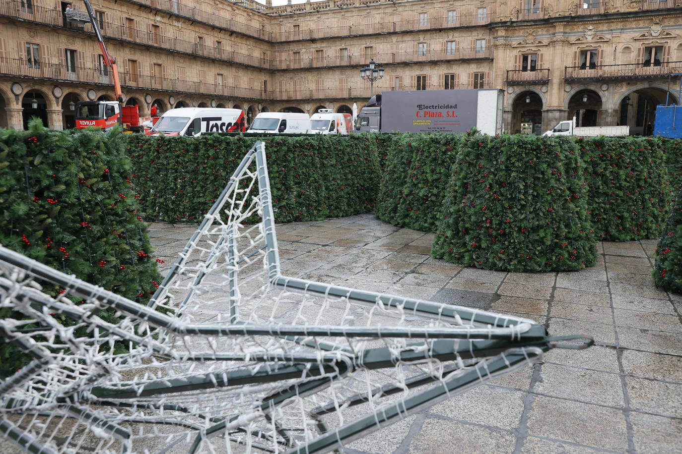 El primer día de trabajo para instalar el gran árbol de Navidad en la Plaza, en imágenes