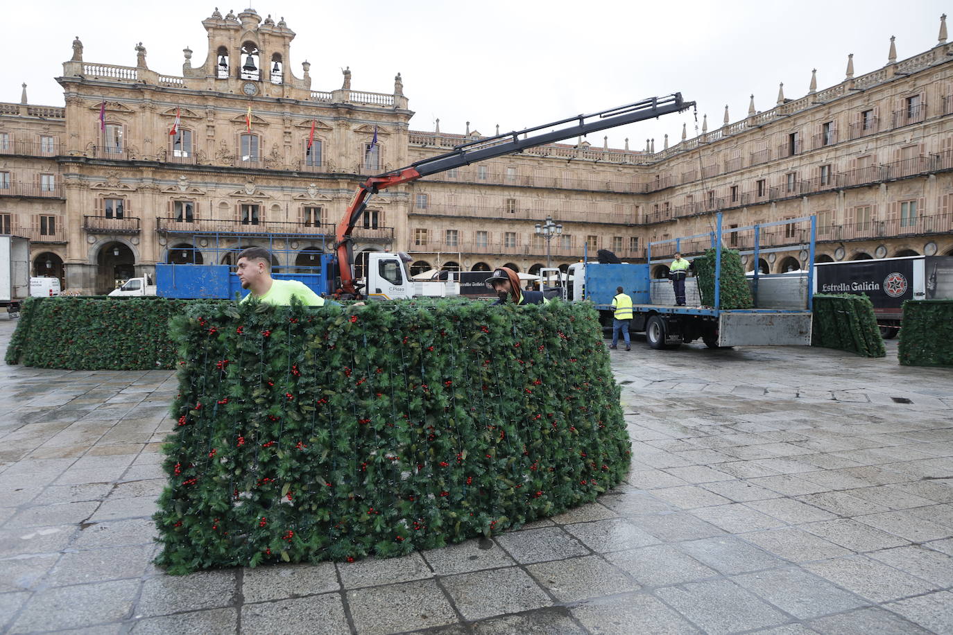 El primer día de trabajo para instalar el gran árbol de Navidad en la Plaza, en imágenes