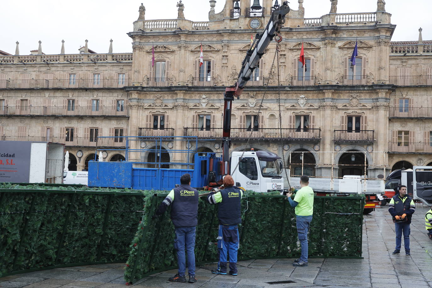 El primer día de trabajo para instalar el gran árbol de Navidad en la Plaza, en imágenes