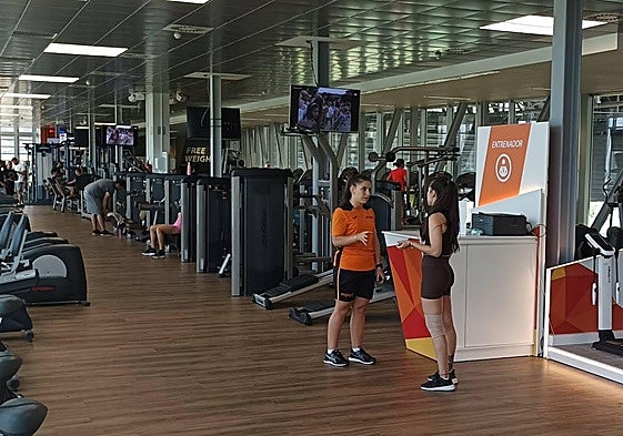 En los centros Enjoy, los usuarios cuentan con multitud de tipos de máquinas de fuerza.