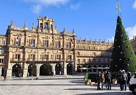 ¿Le gusta el gran árbol de Navidad para adornar la Plaza Mayor?