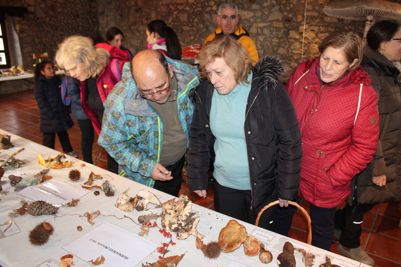 Linares de Riofrío disfruta de su jornada micológica pese al mal año de setas