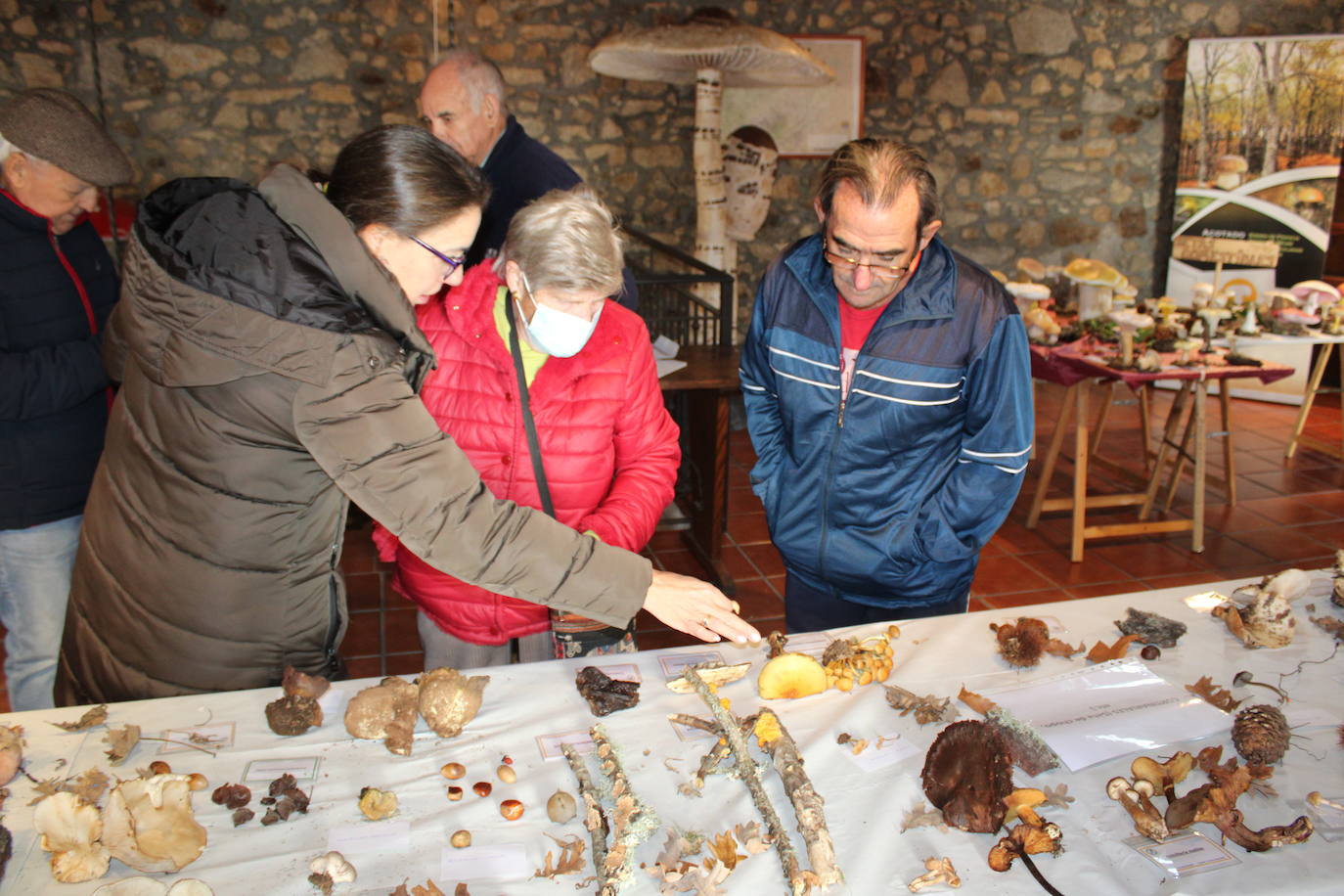 Linares de Riofrío disfruta de su jornada micológica pese al mal año de setas
