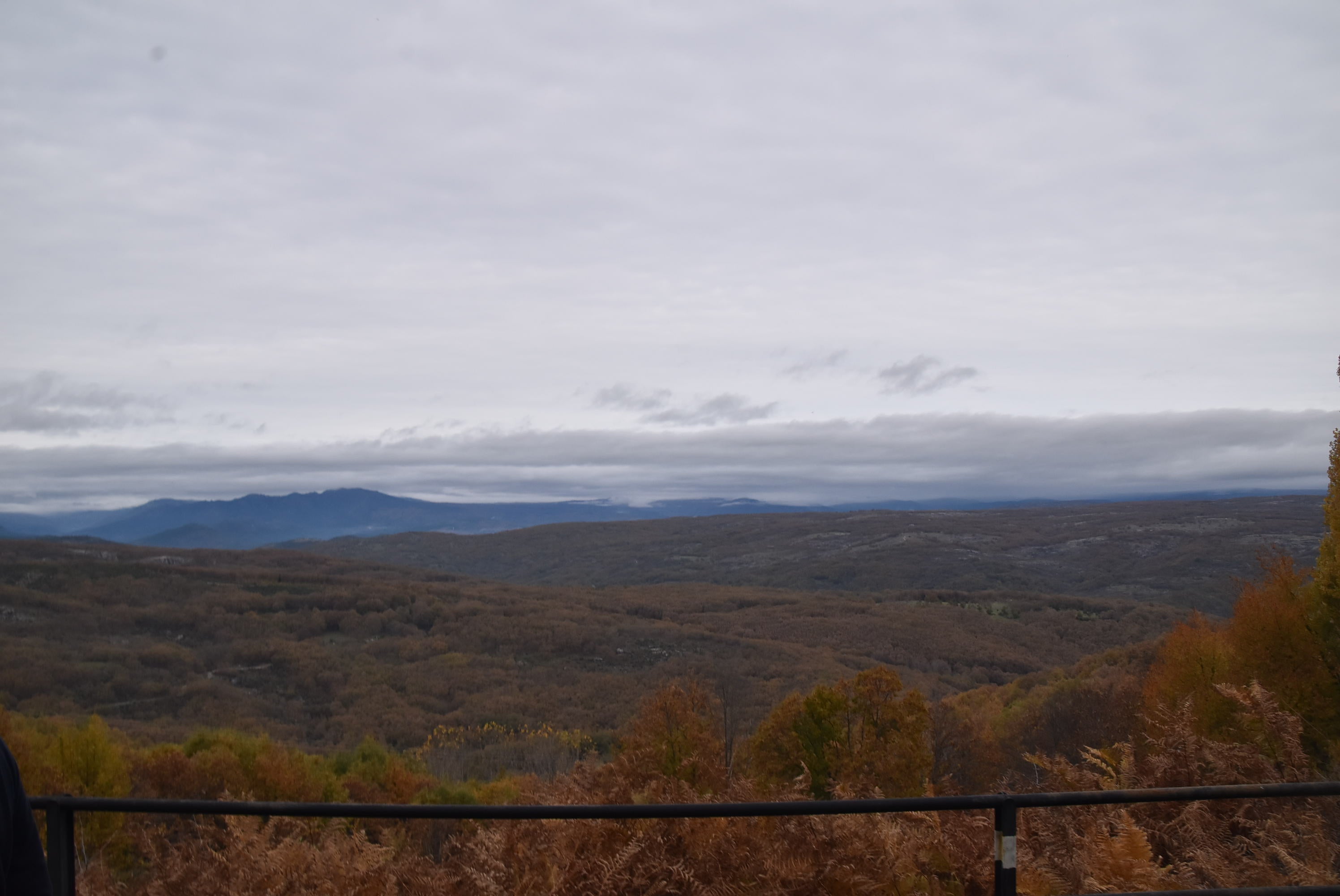 El Festival de la Candela despide su segunda edición con más de 2.500 participantes