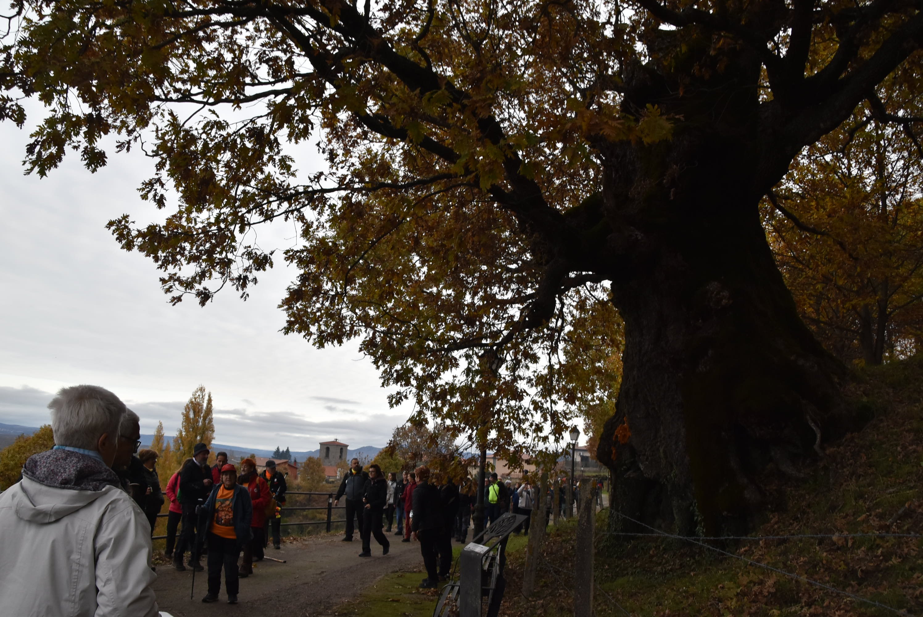 El Festival de la Candela despide su segunda edición con más de 2.500 participantes