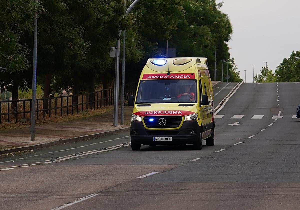 Una ambulancia se trasladó hasta el lugar.