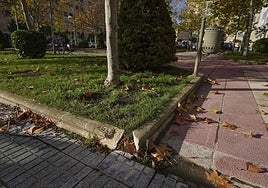 Cualquiera no mira por donde pisa